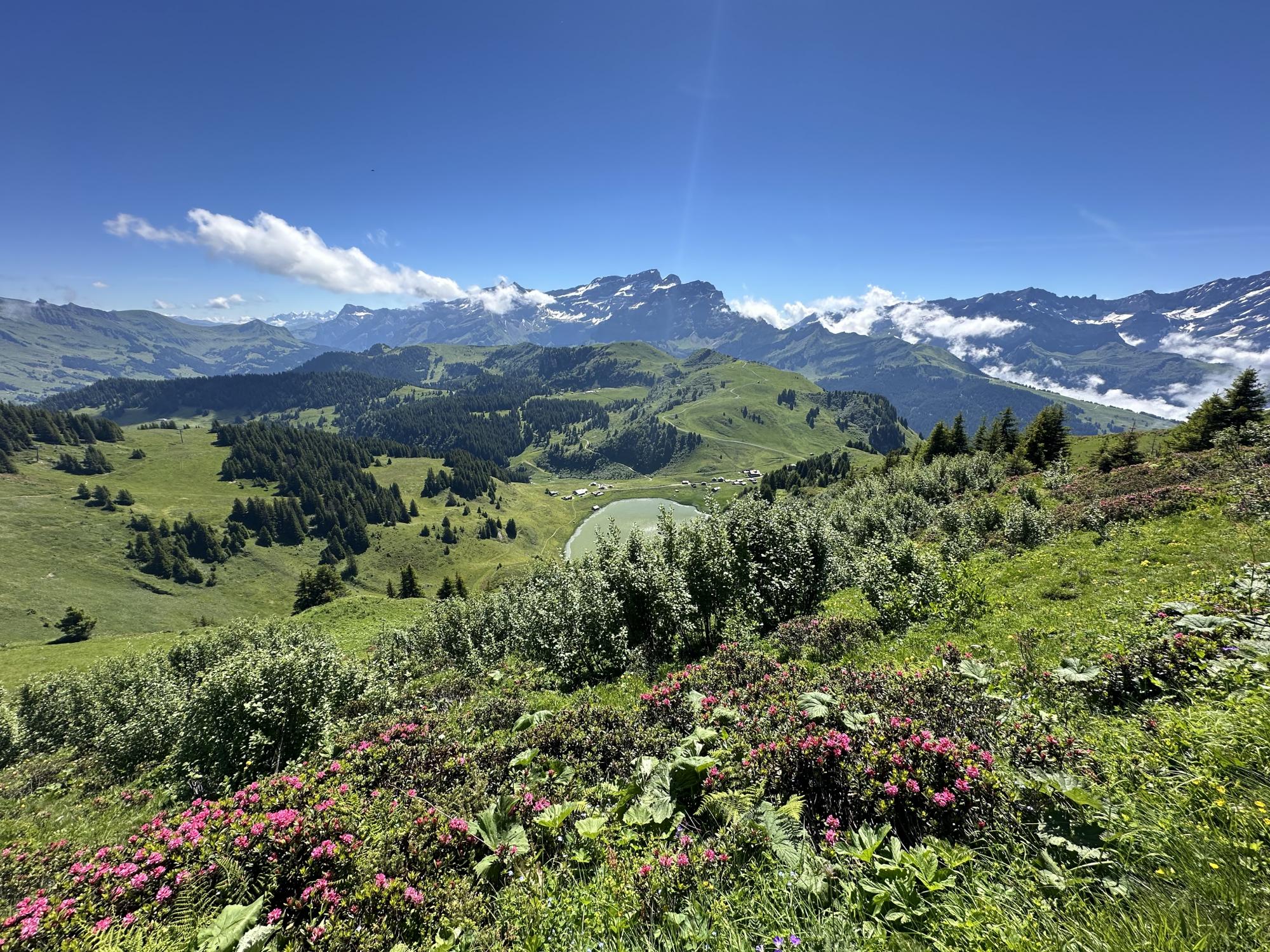 Panorama auf der Abfahrt zurück zum Col de Bretaye