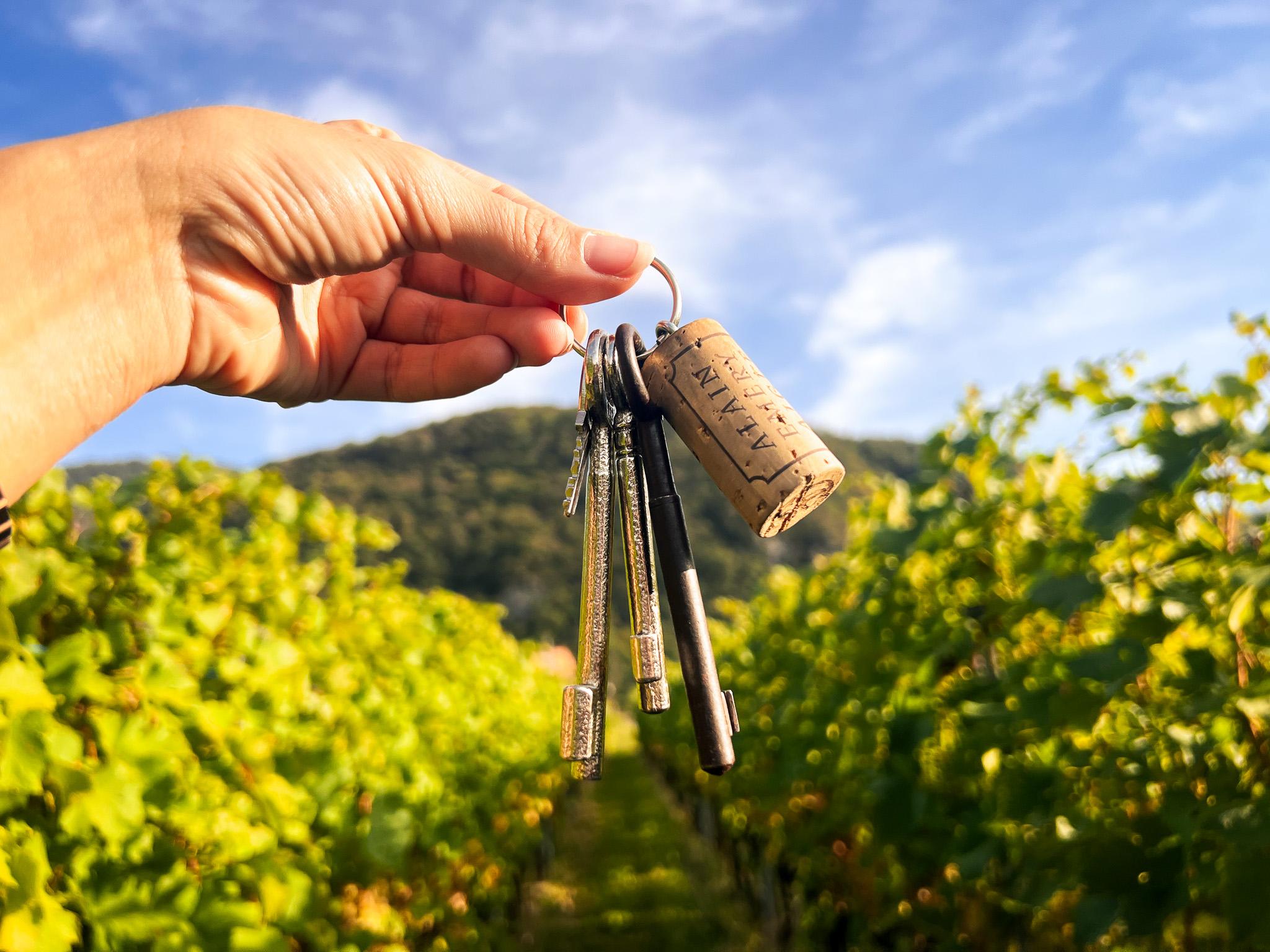 Der Schlüssel zu den Weinbergen