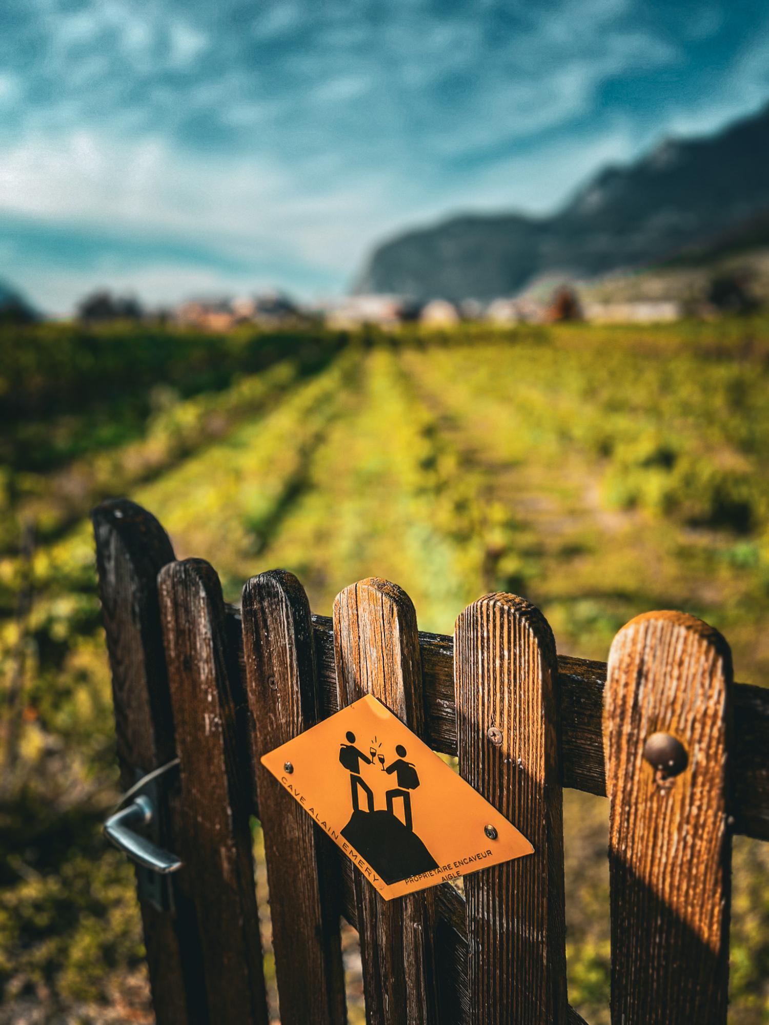 Finden Sie den richtigen Schlüssel, um die Tür des Weinbergs zu öffnen