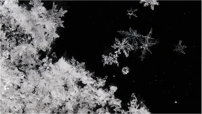 Conférence la Neige et son vocabulaire