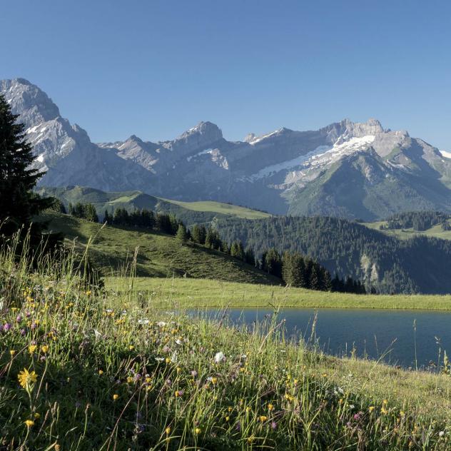 Les Chaux - Taveyanne via Tsamayen