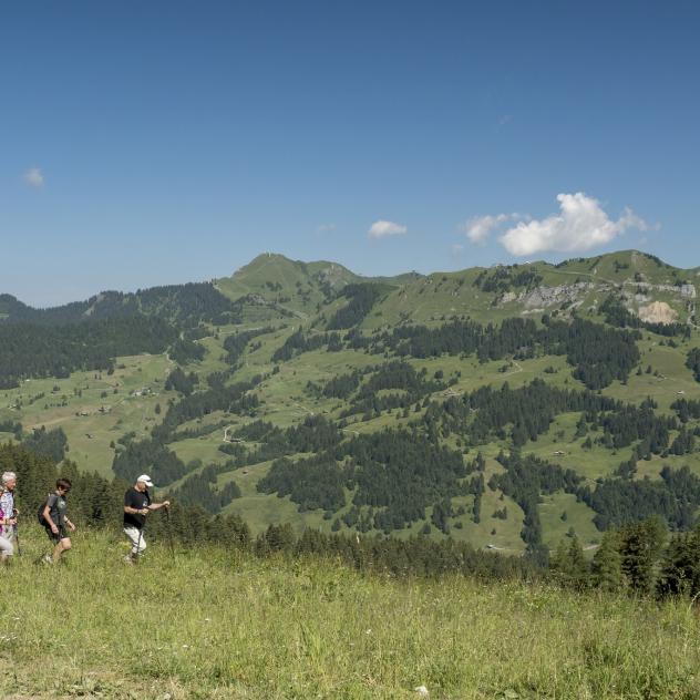 Von Les Chaux bis nach Les Diablerets