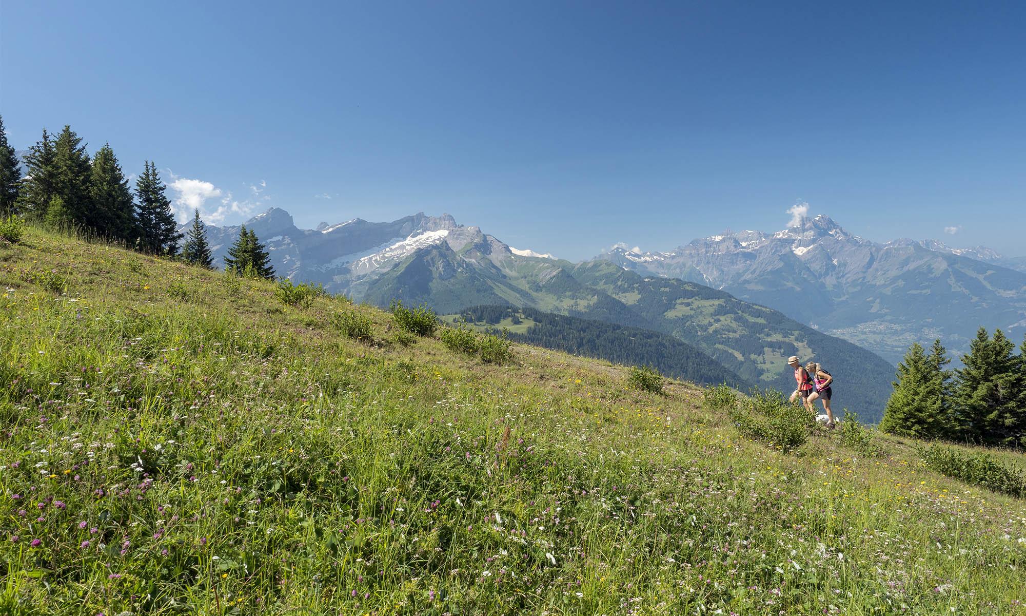 Die besten Sommerwanderungen in Gryon