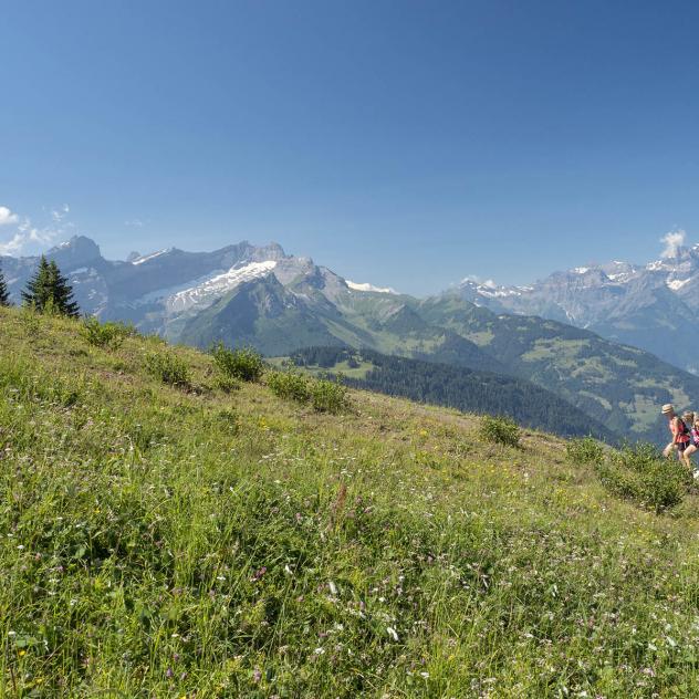 Guided walk - The secret of the mountains