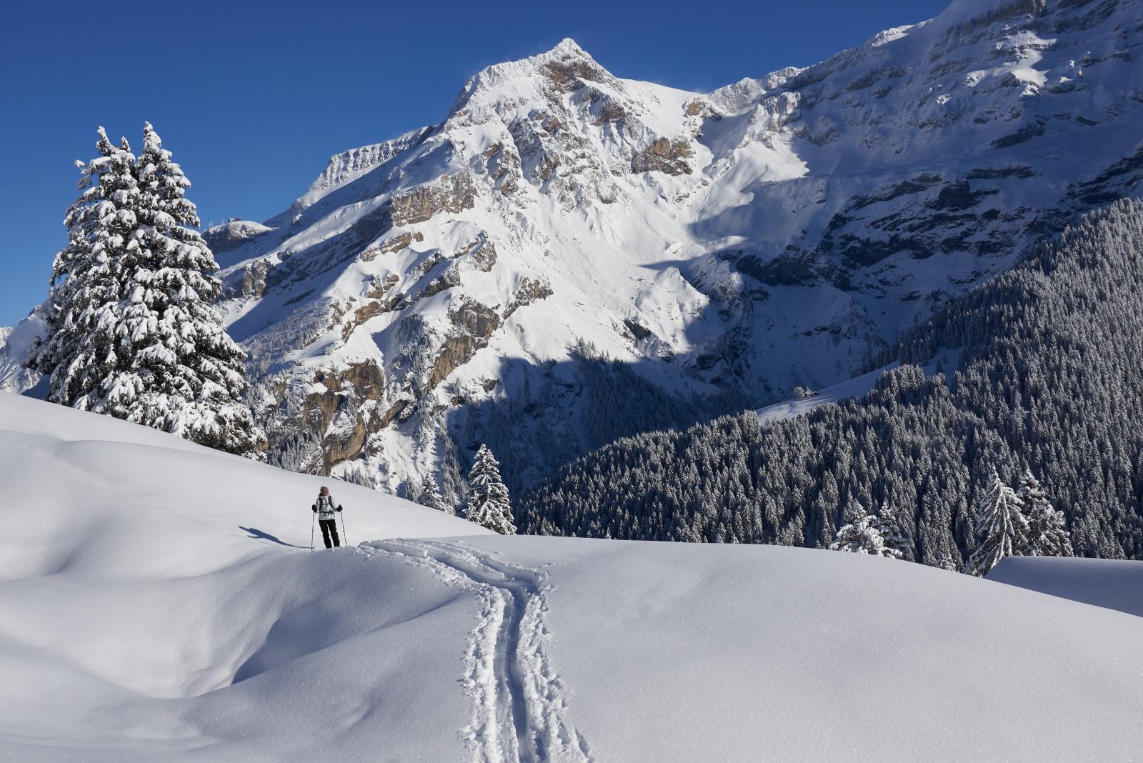 Winterwanderrouten in Les Diablerets