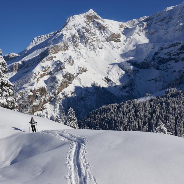 Winterwanderrouten in Les Diablerets