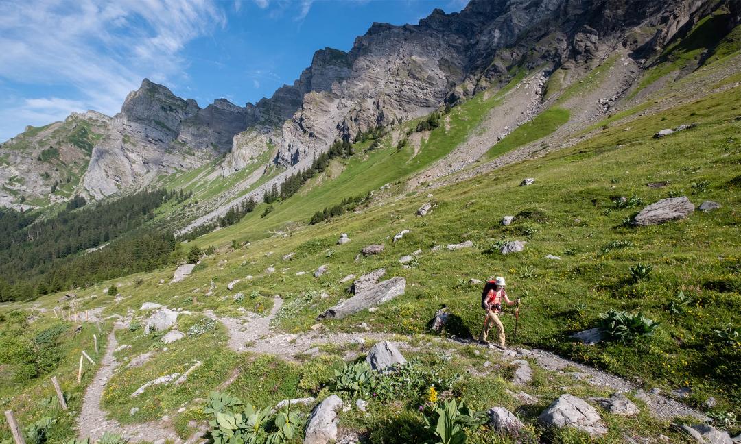 Anzeindaz - Villars - été - Grégory Rohart / I-Trekkings.net