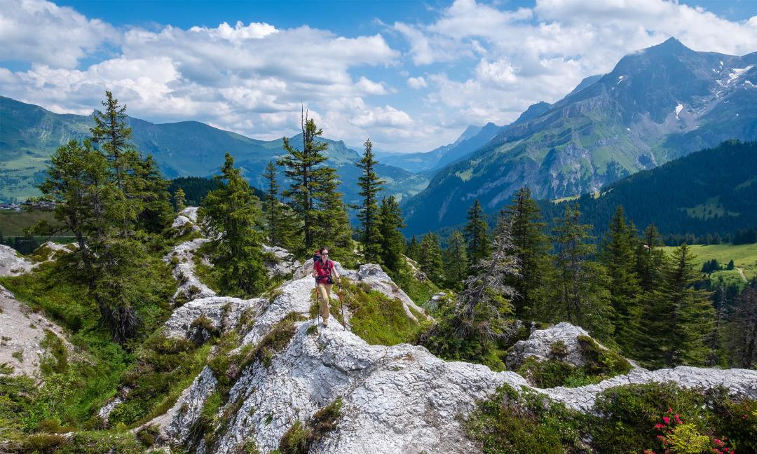 Pyramides de gypse - Villars - été - Grégory Rohart / I-Trekkings.net