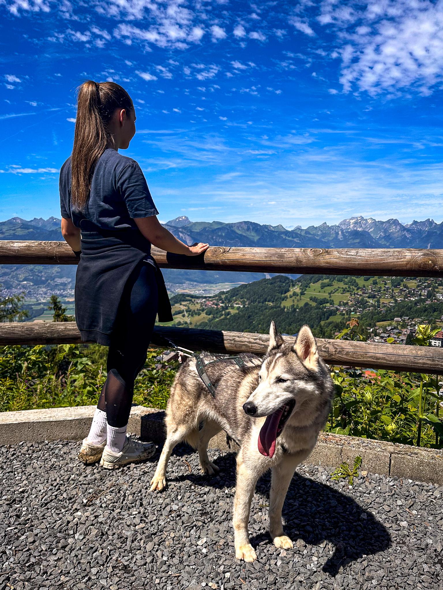 Discovery cani-hiking with Alpes'Huskies 