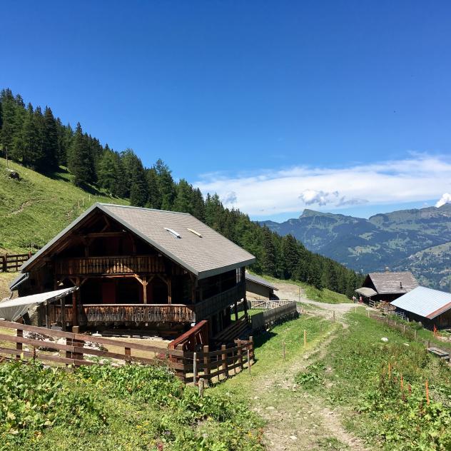 Alpage de Javerne