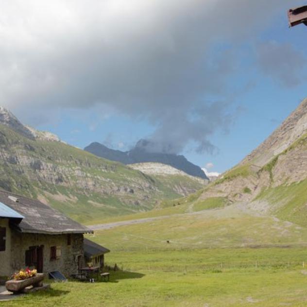 Vare mountain pasture