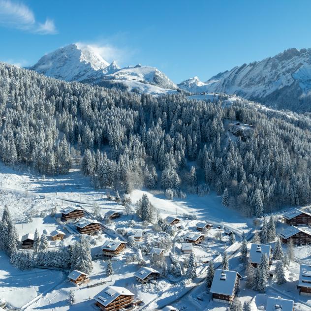 Sentiers didactiques en hiver à Villars