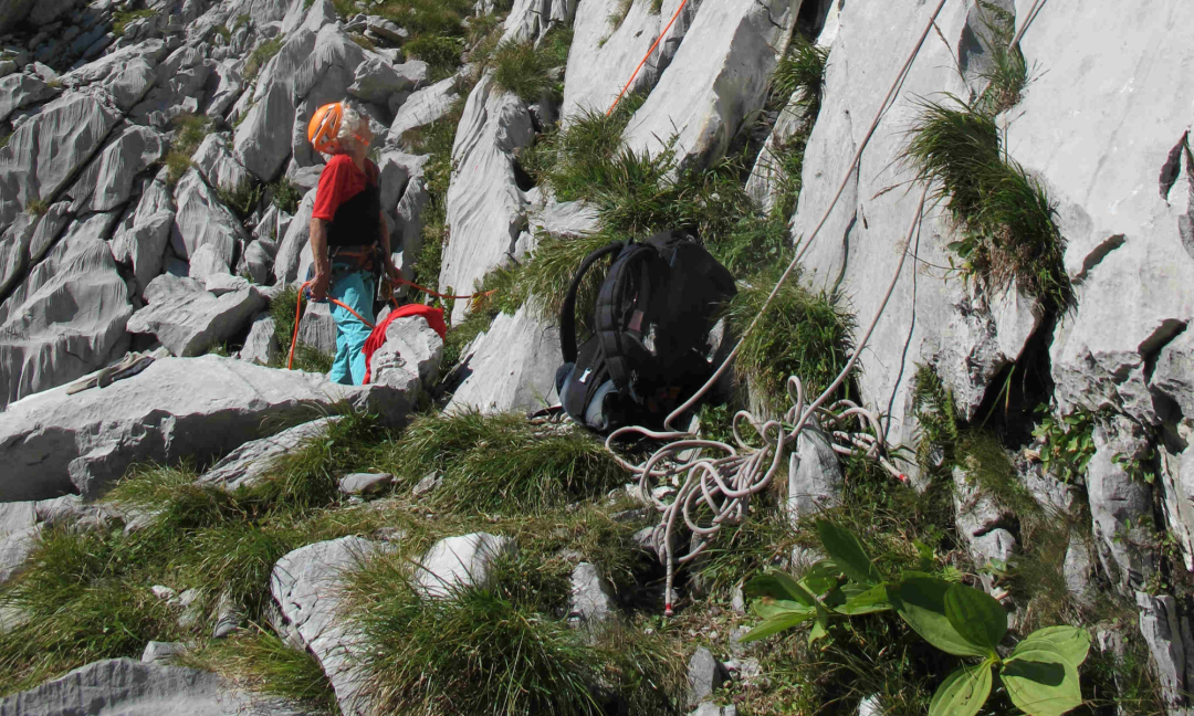 Climbing - Anzeide