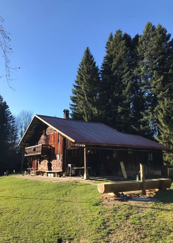 Chalet autumn 24