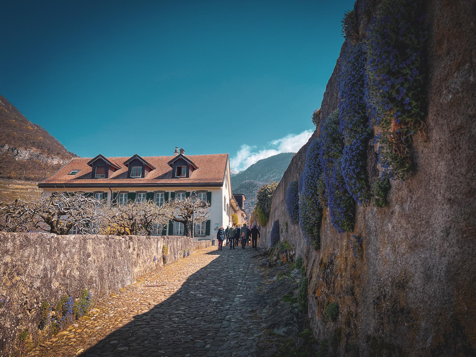 The old town of Aigle is an ideal starting point for your hike.