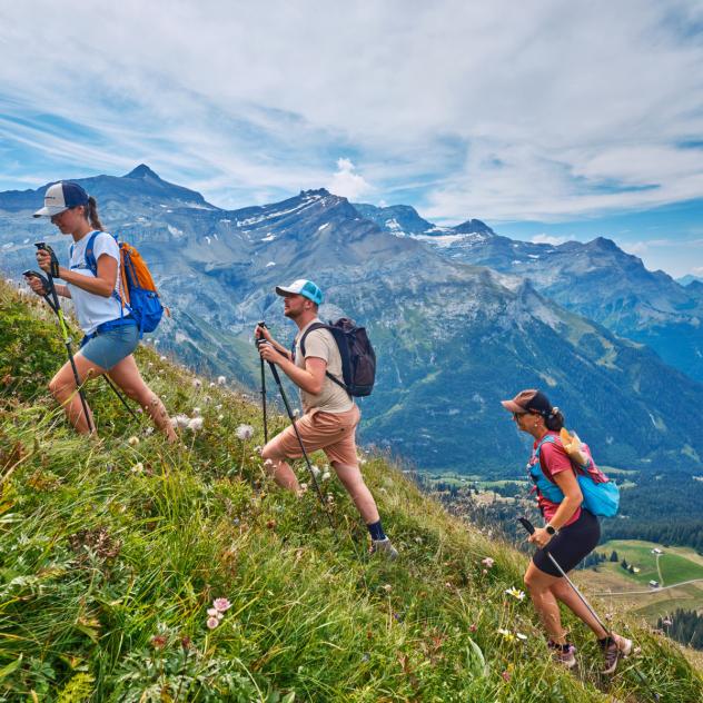 Diablerets Rando-Raclette