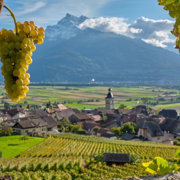 Walk and wine tasting