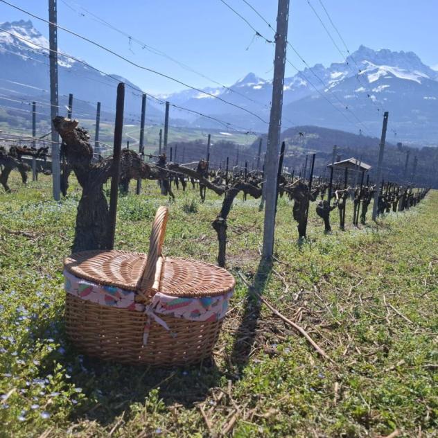 Le Panier du Vigneron & Dégustation de vins