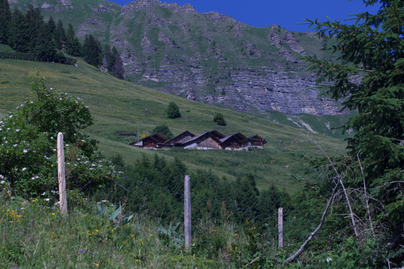 Photo of the Hameau de la Dix in Les Diablerets