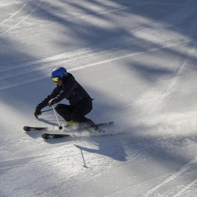 Private ski lessons with Pure Trace des Diablerets (1 day)