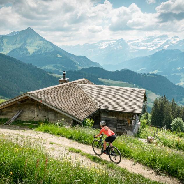 A Swiss with a Pulse - Alain Rumpf