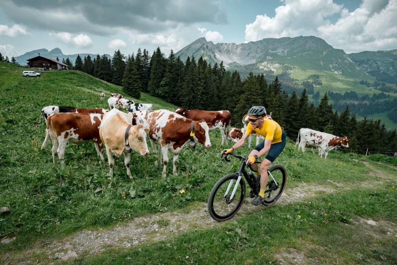 Bikepacking - Gravel