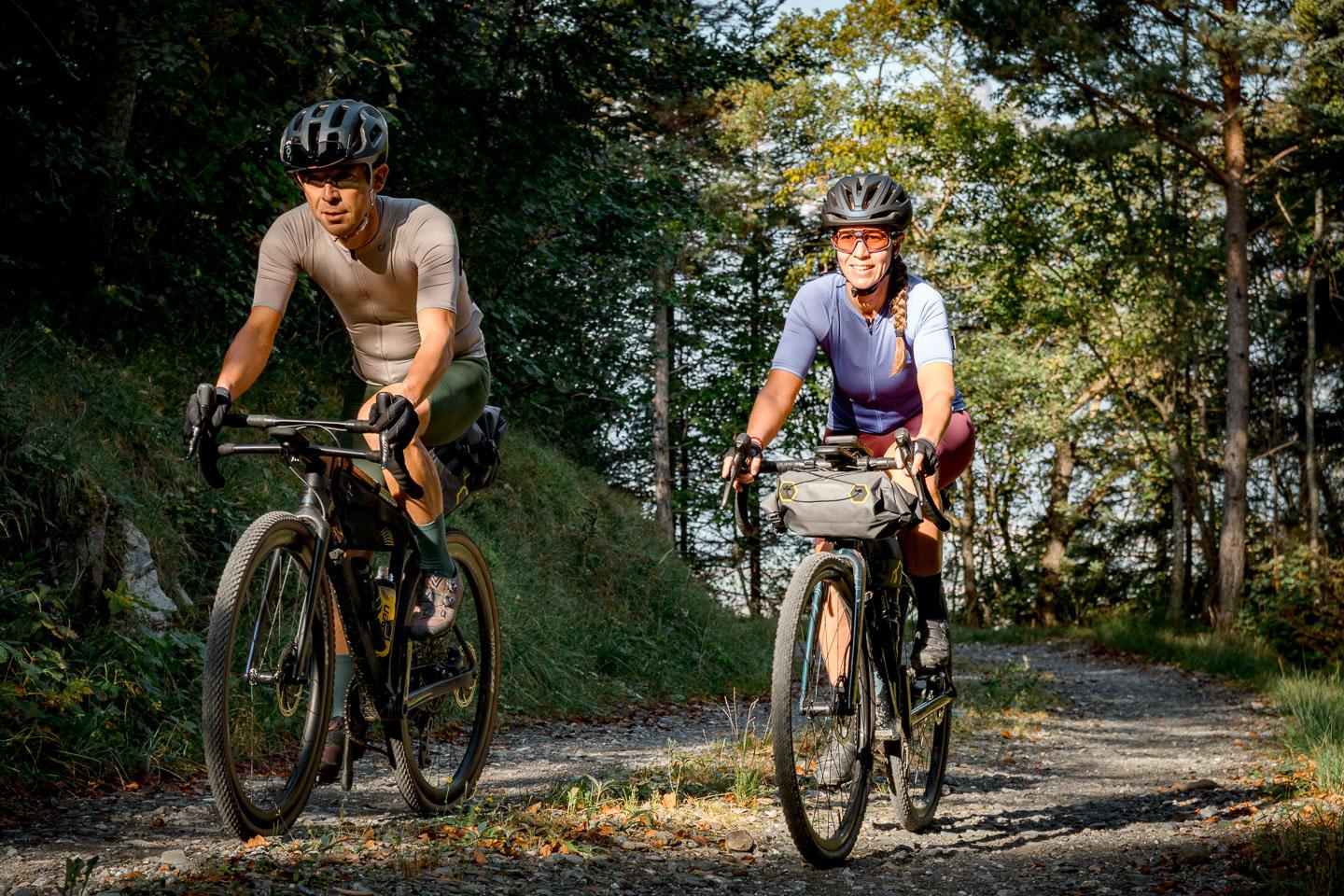 Sur une route forestière ombragée 