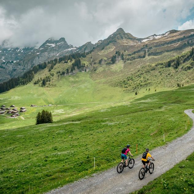 A Swiss with a Pulse - Alain Rumpf