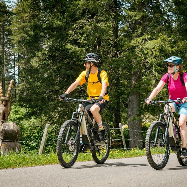 La petite peinarde - Parcours e-bike