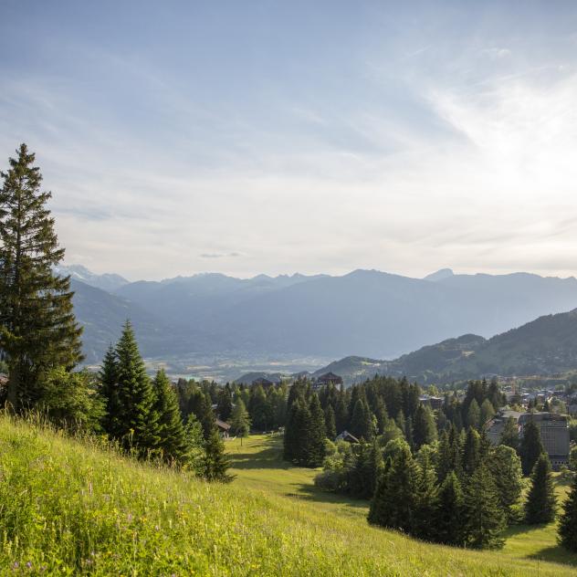 The mountain pastures of Villars and their secrets