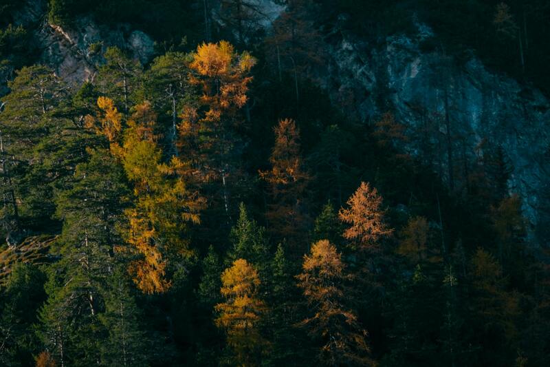 Paysage d'automne