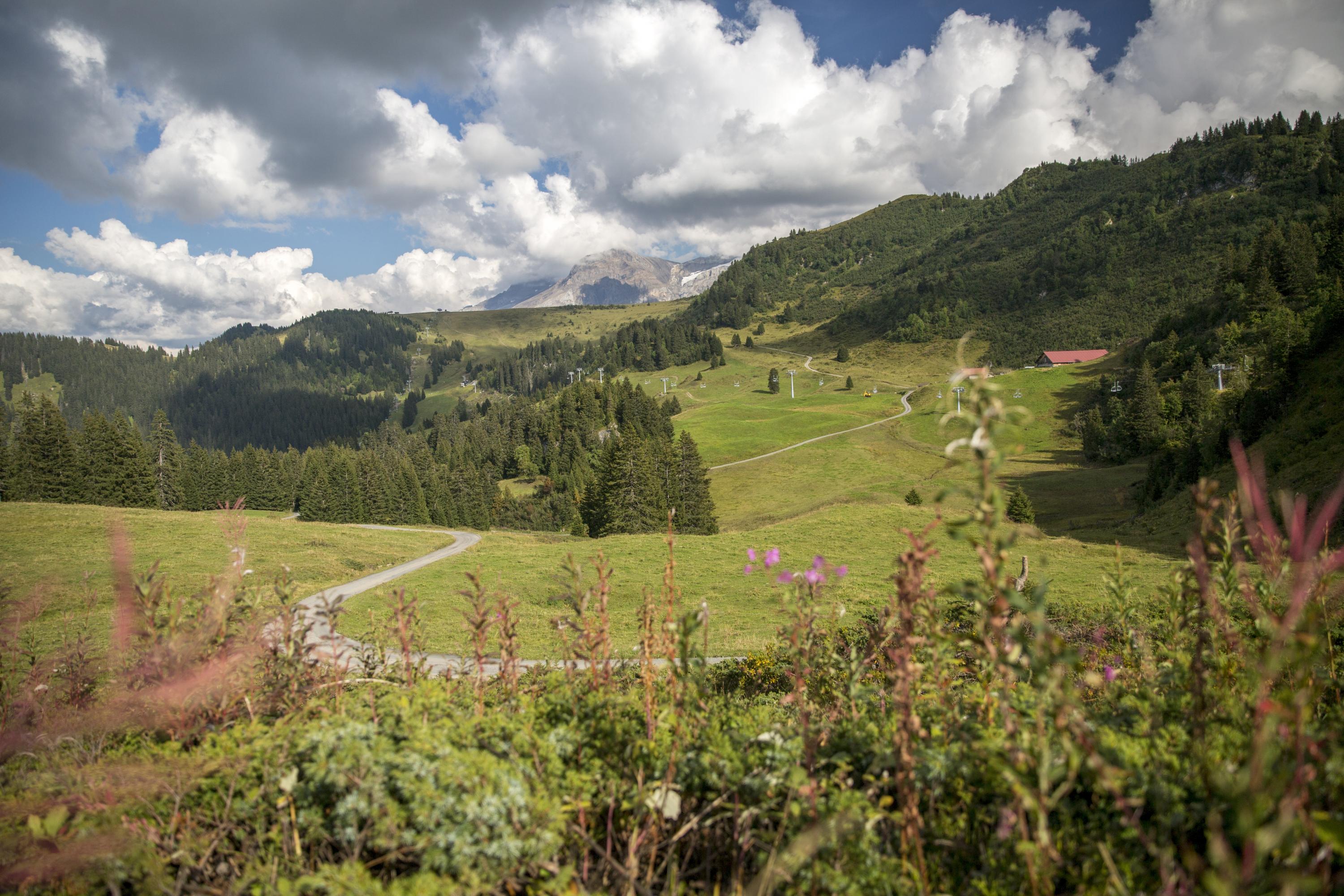 Summer walking routes in Villars