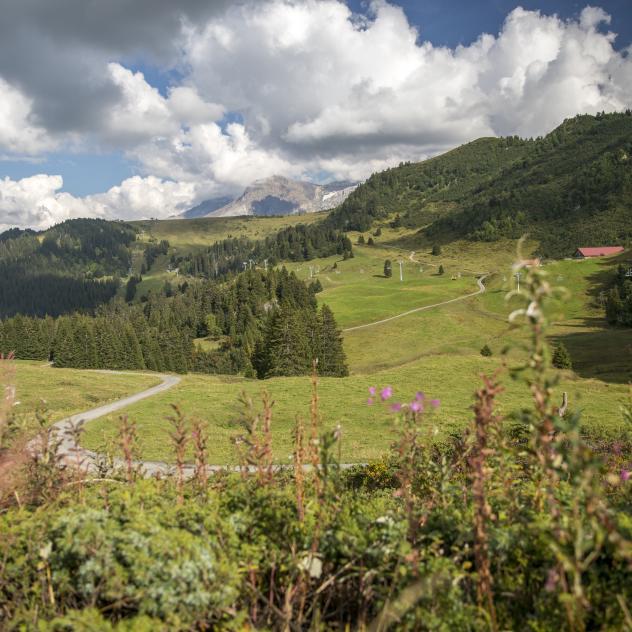 Botanischer Pfad - Bretaye - Les Diableret