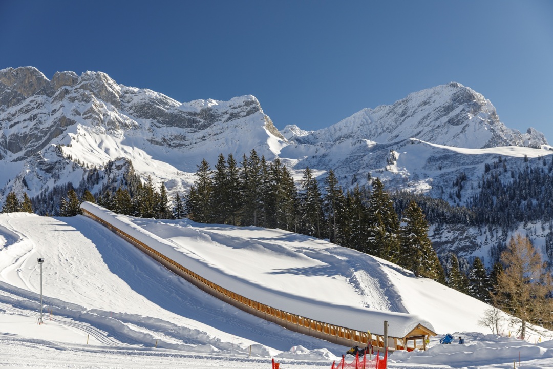 Schlitteln in Frience