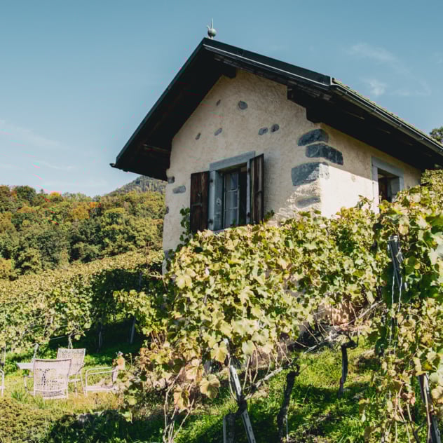 Die Weine von Pierre und Michel Anex