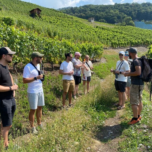 Guided walk & Wine tasting in Ollon