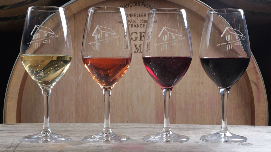 Balade accompagnée dans le vignoble de Pierre et Michel Anex