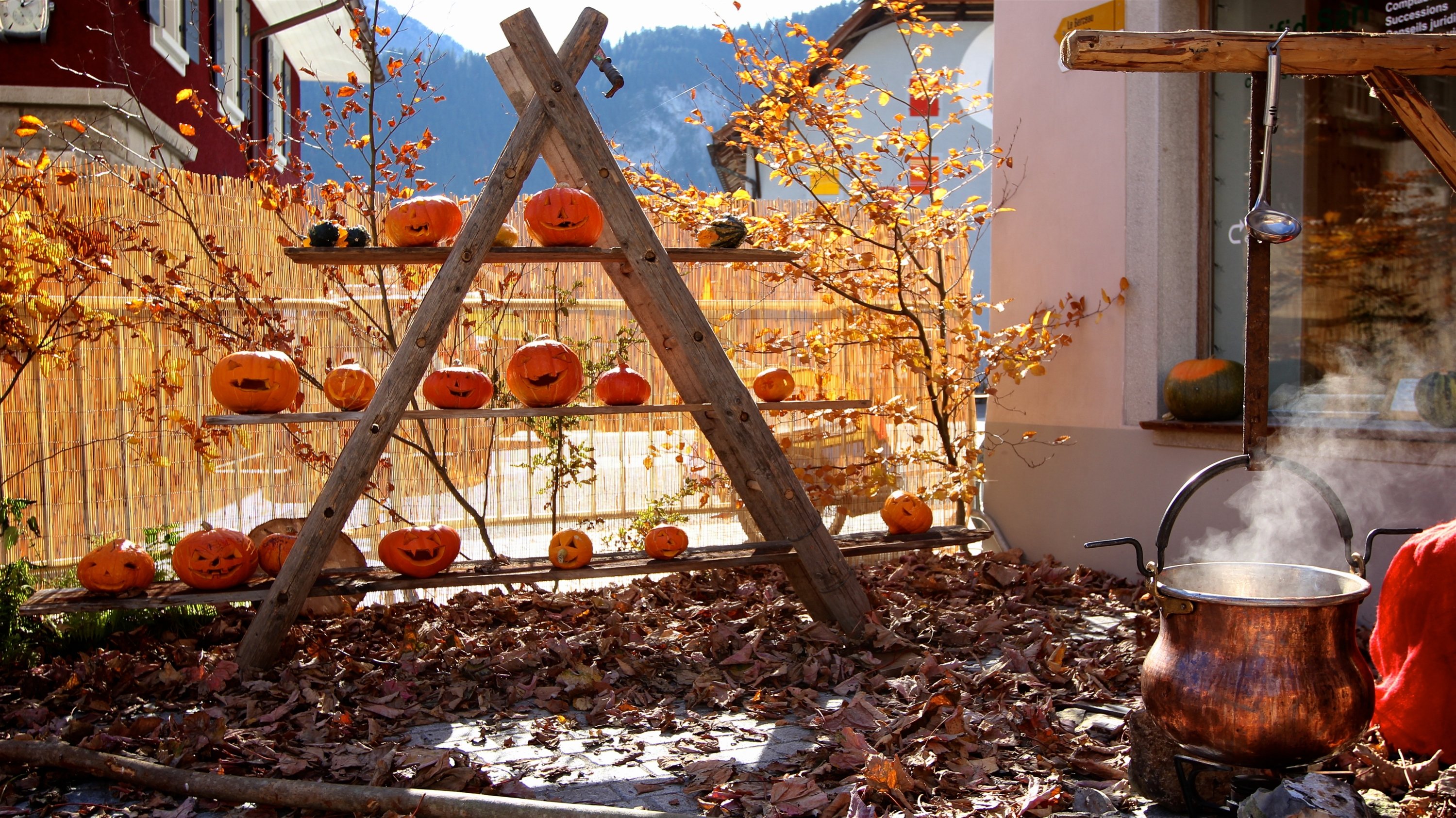 Toutes les animations autour de la citrouille dans les Alpes Vaudoises