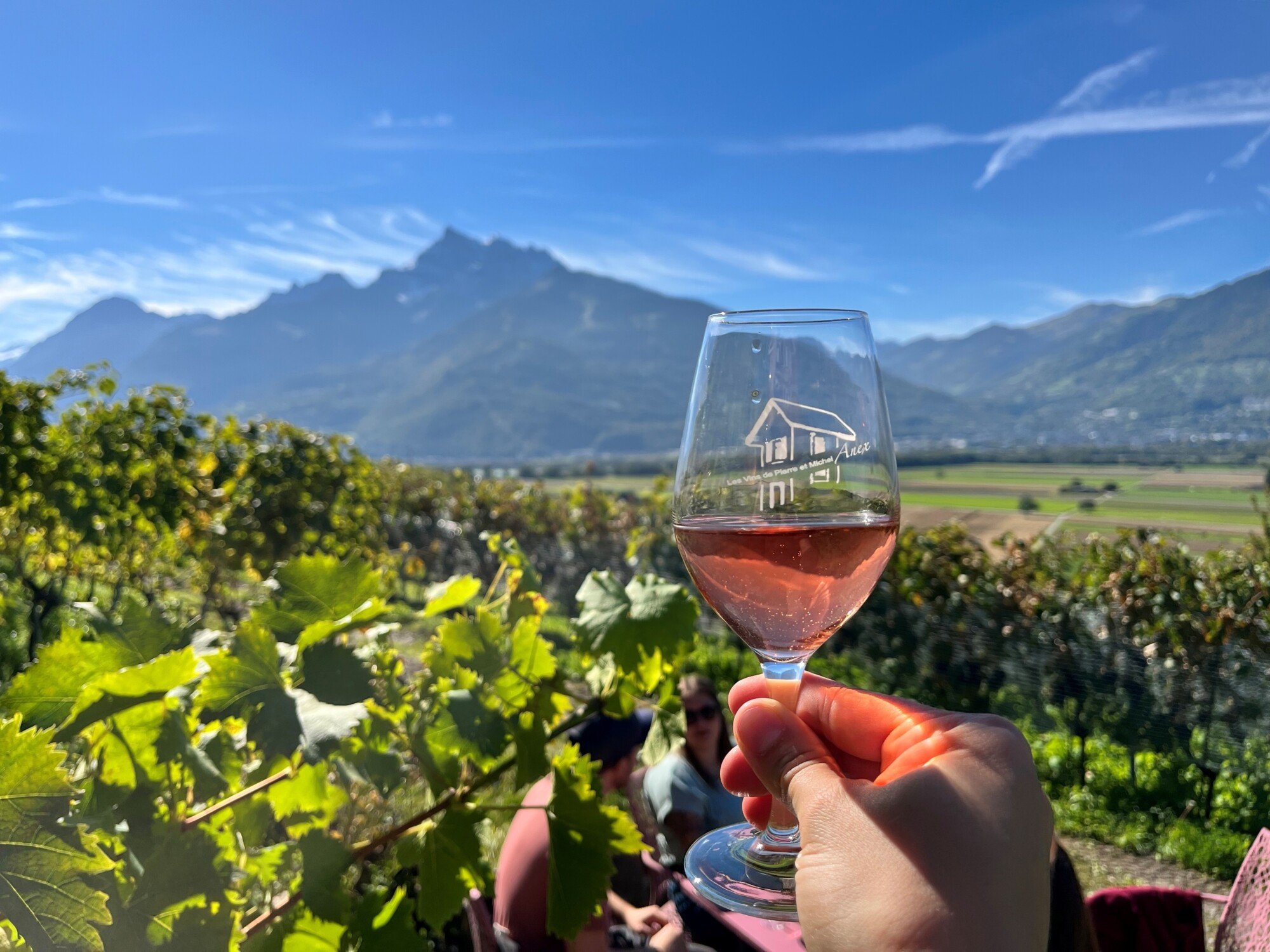 Tasting of the discovery basket and tasting at Pierre and Michel Anex in autumn.
