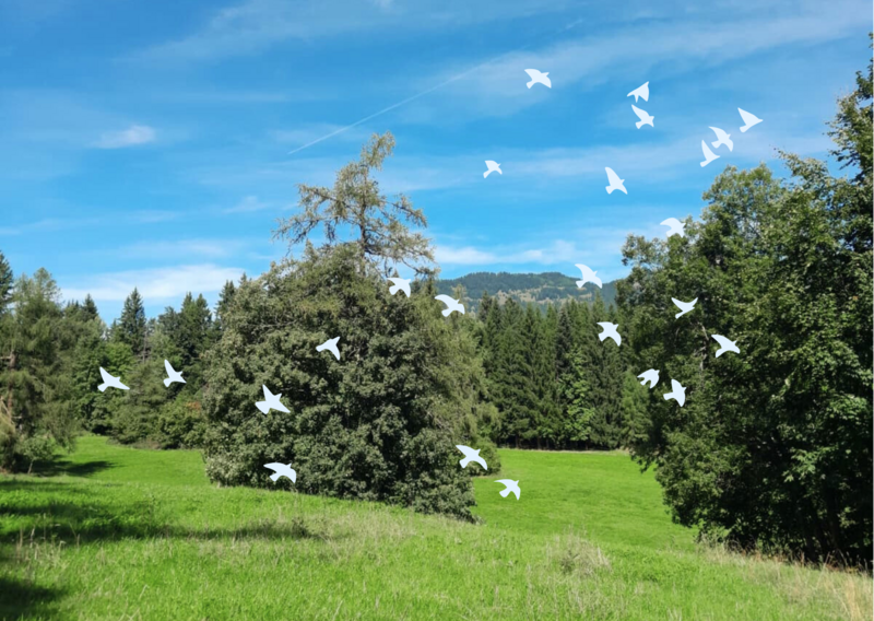 Birding Walk 2025
