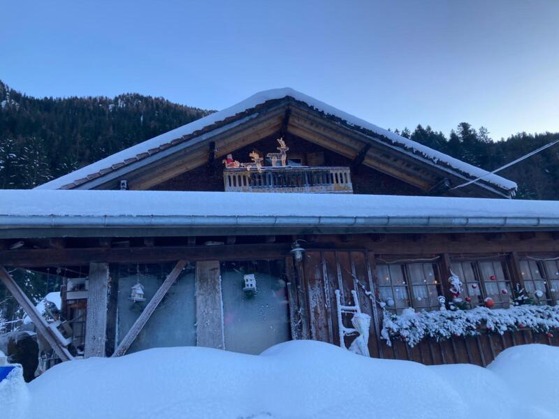 La Soldanelle en hiver