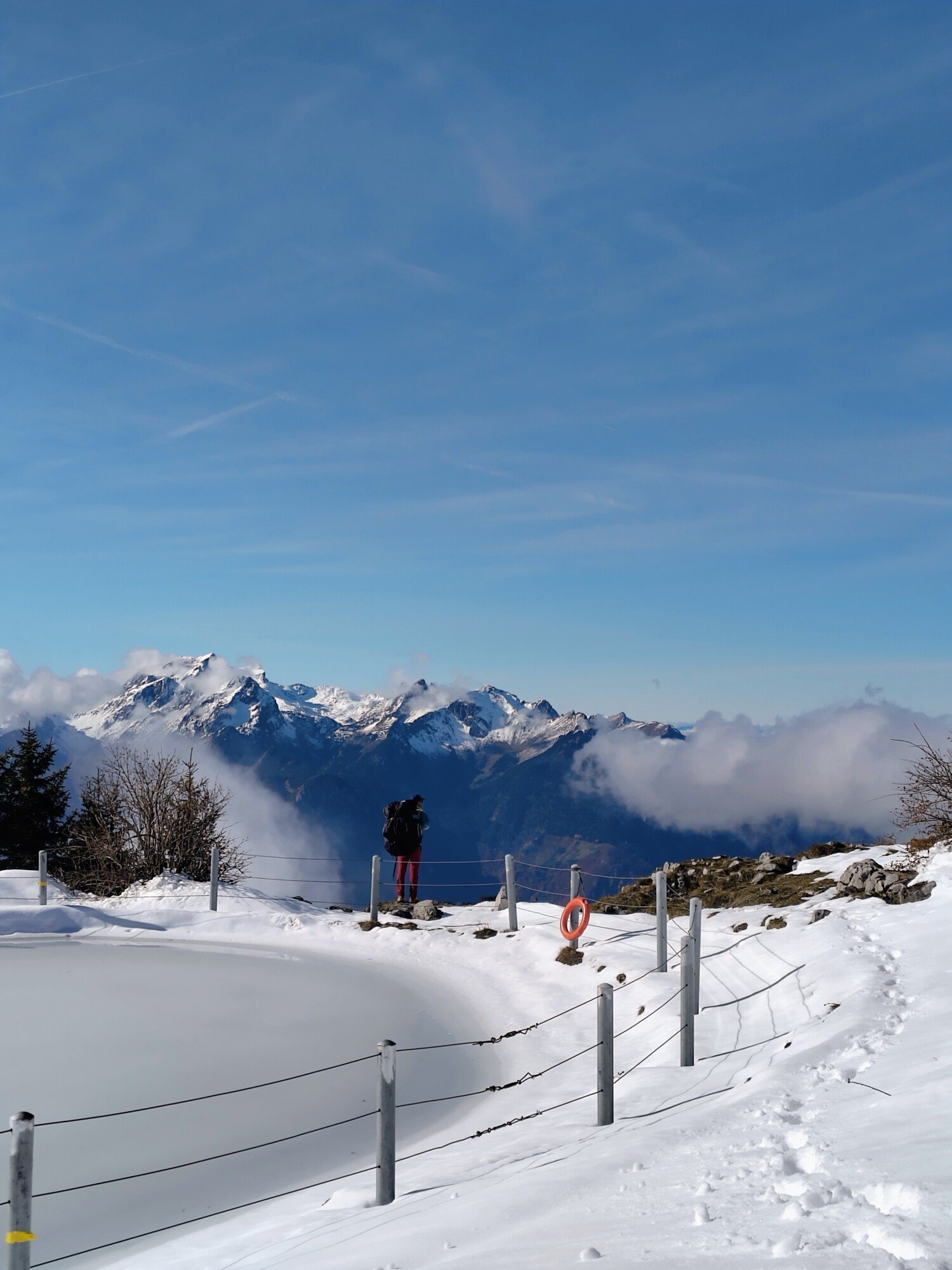 Mathieu auf der Suche nach dem idealen Startplatz