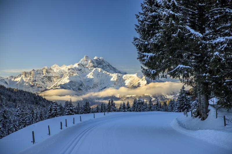 Paysage hiver Col de la Croix 