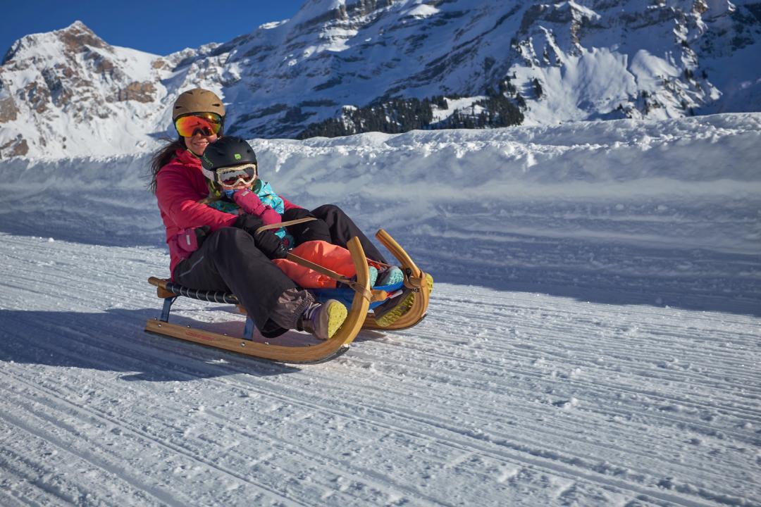 Luge aux Diablerets