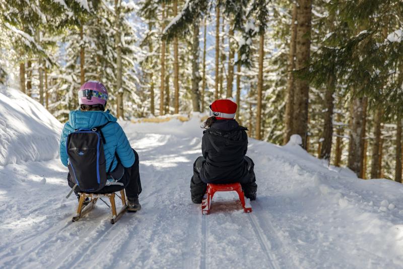 Sledging