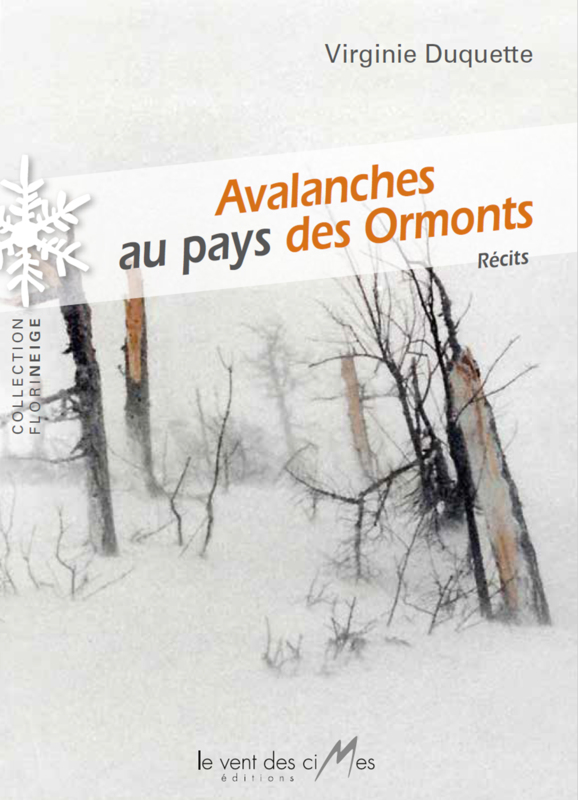 Avalanches au Pays des Ormonts