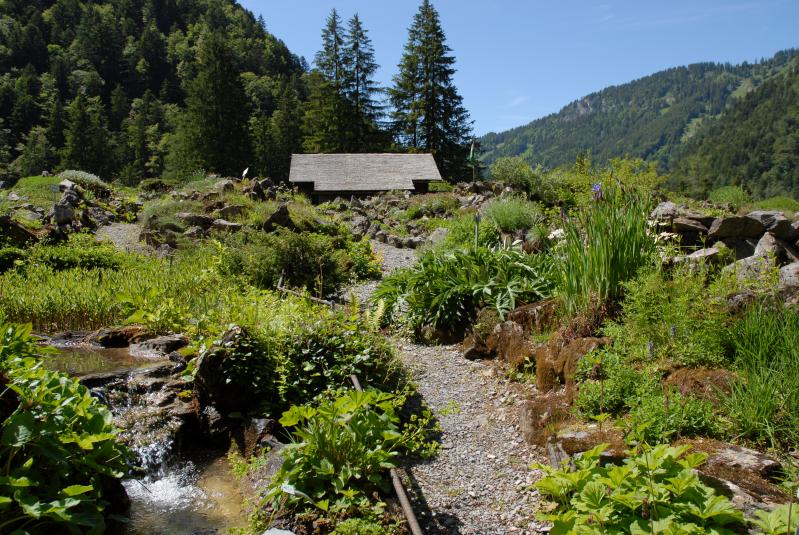 La Thomasia, jardin botanique de montagne