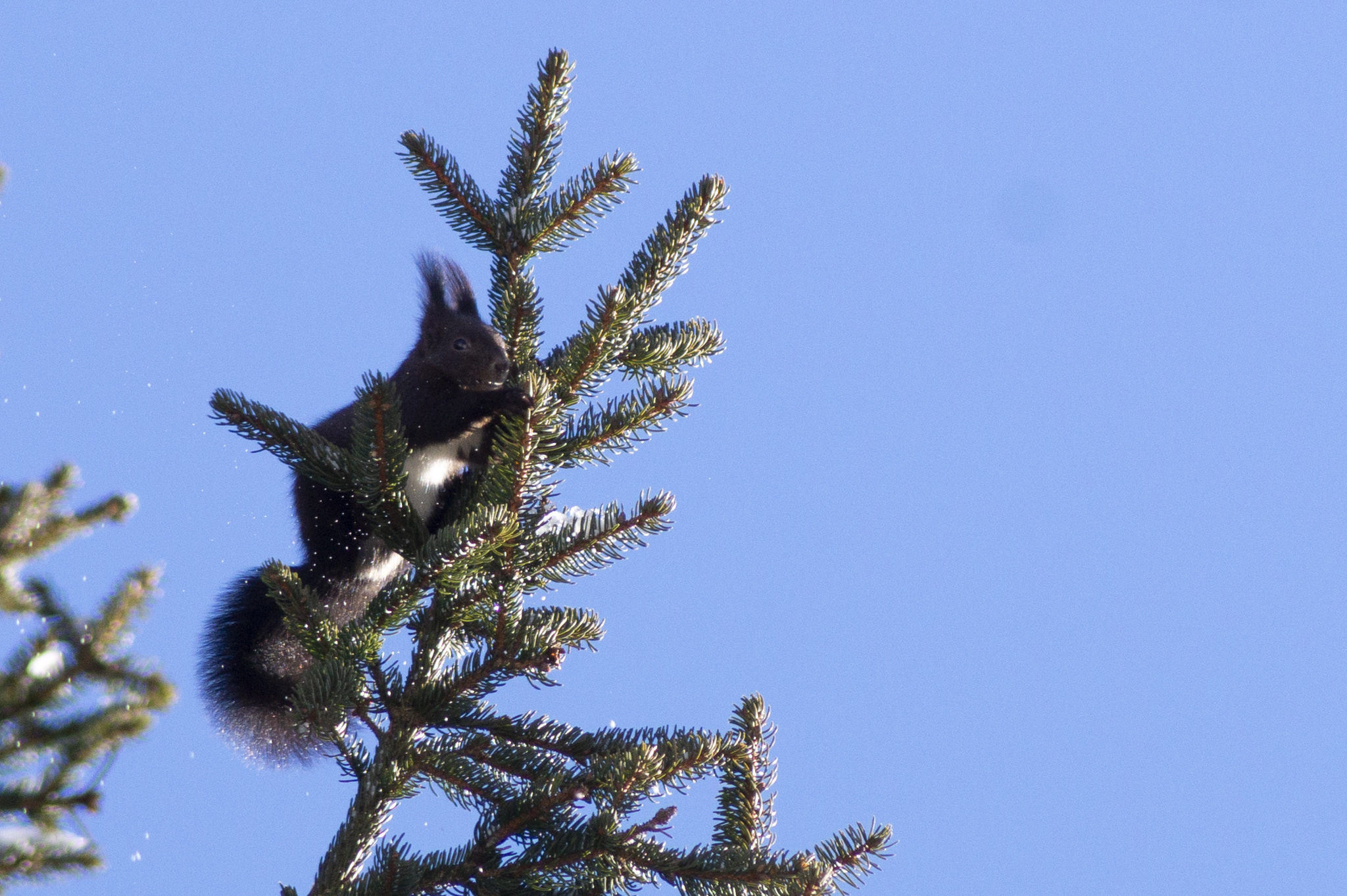 Treasure hunts and fun trails in Les Diablerets