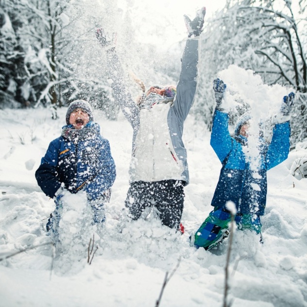 Snowy Afternoon in Villars– Guided Walk and Discovery