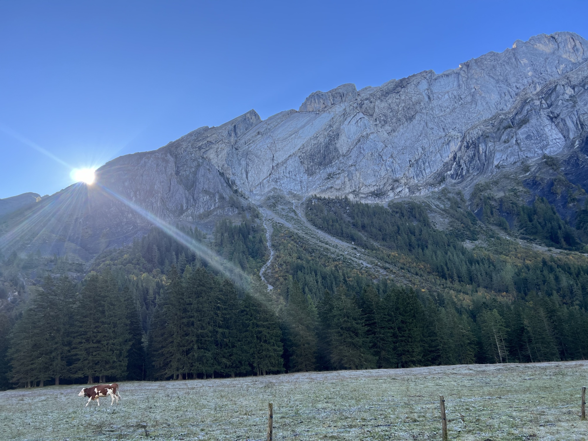 © Patrick_Moreillon